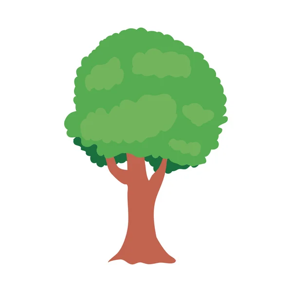 Planta de árbol verde — Vector de stock