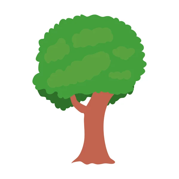 Planta de árbol verde — Vector de stock