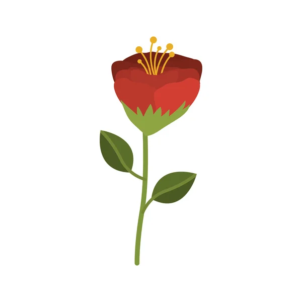 Gyönyörű virág ikon — Stock Vector