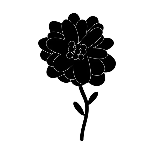 Belo ícone de flor —  Vetores de Stock
