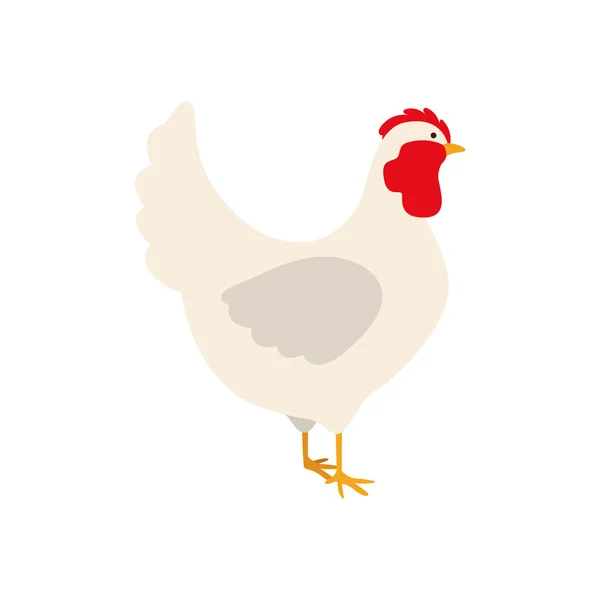 Siluet renk beyaz tavuk — Stok Vektör