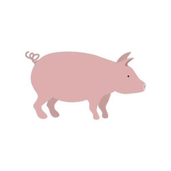 Silhouette color with pink pig — Stockový vektor