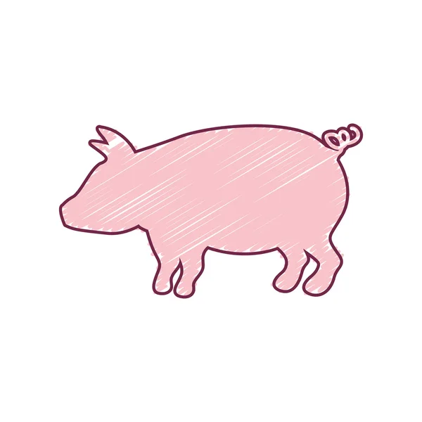 Cochon silhouette avec traits de couleur — Image vectorielle