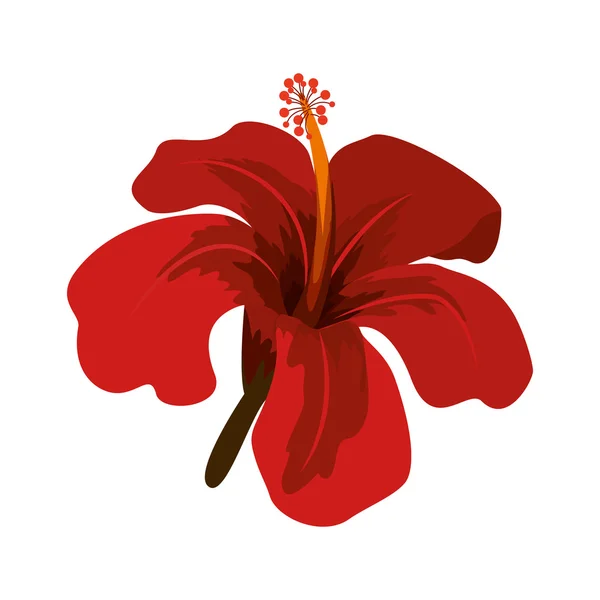 Rosa roja china con pétalos en forma de trompeta — Vector de stock