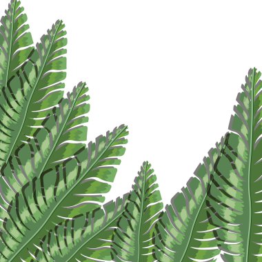 tropik yaprak tasarımı