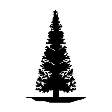 çam ağacı simgesi