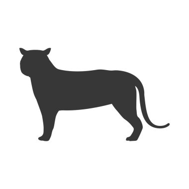 Panter hayvanla birlikte siluet