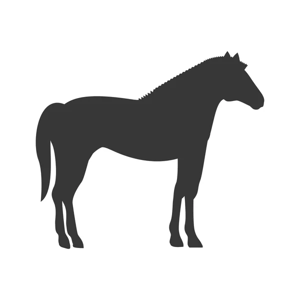 Silhouette with horse domestic animal — ストックベクタ