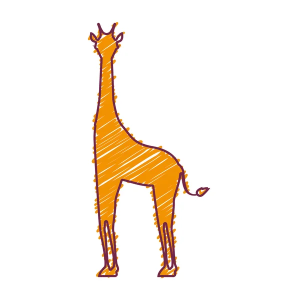 Silhueta com girafa animal selvagem colorido — Vetor de Stock