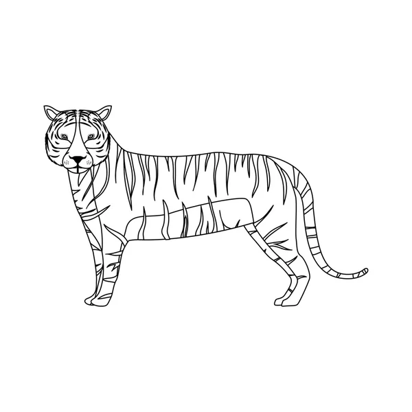 Wildtier Tiger — Stockvektor