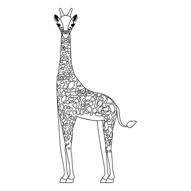 Zürafa vahşi hayvan