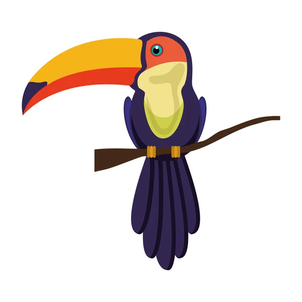 Toucan bird animal — Stockový vektor