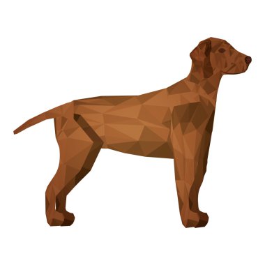 köpek hayvan simgesi