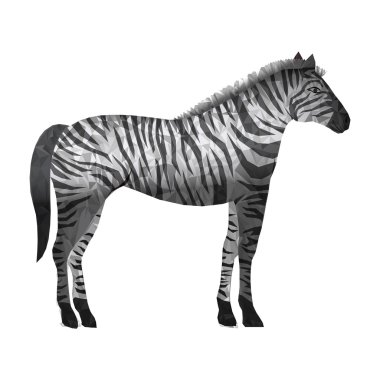Zebra tasarlamak