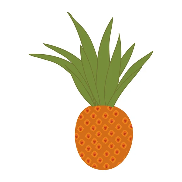 Piña fruta alimentos — Vector de stock