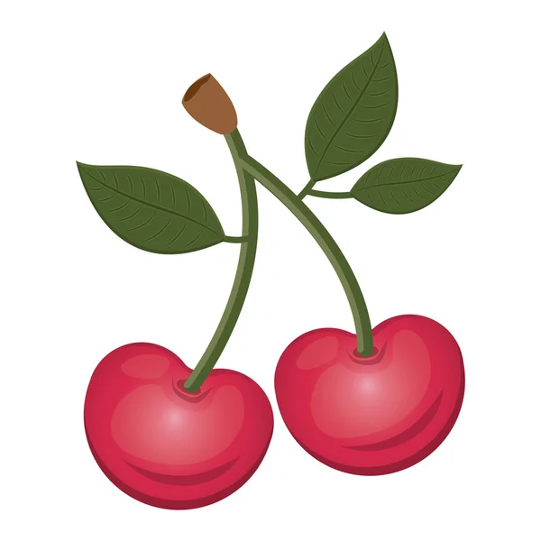 Fruta de cereza alimentos — Vector de stock