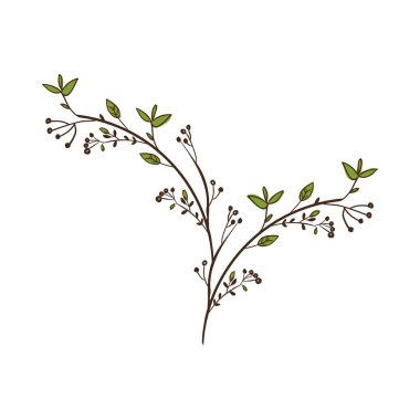 Dalları yaprakları dekorasyon ile