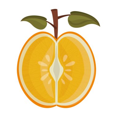 meyve sağlıklı gıda