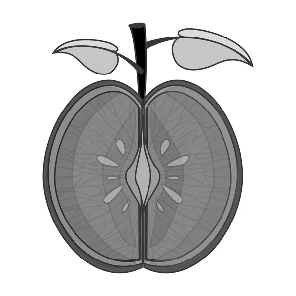 Plody zdravé jídlo — Stockový vektor