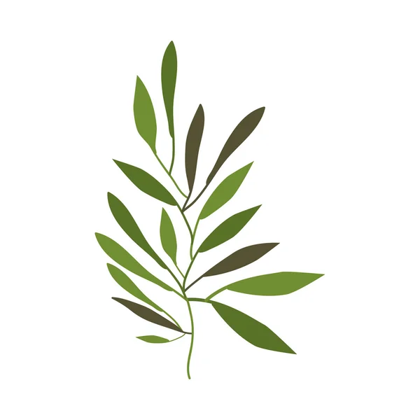 Branches avec décoration de feuilles — Image vectorielle
