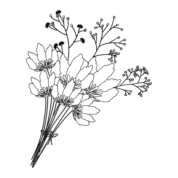 Silhouette of flowers design — Stock Vector