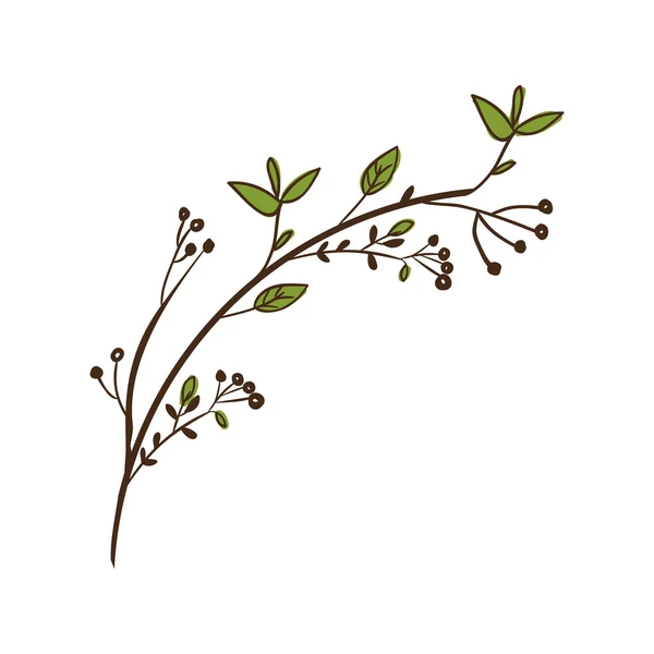 Branches avec décoration de feuilles — Image vectorielle