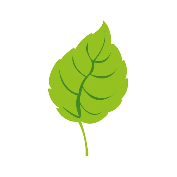 Imagen de icono de hoja simple — Vector de stock