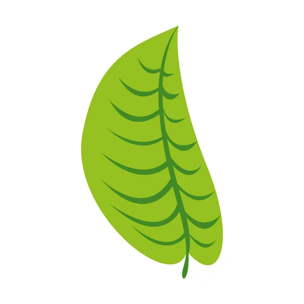 Imagen de icono de hoja simple — Vector de stock