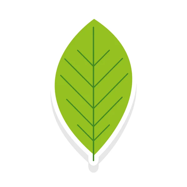 Obraz ikony proste liść — Wektor stockowy