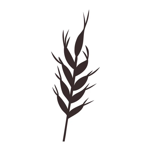 Orejas de trigo — Archivo Imágenes Vectoriales