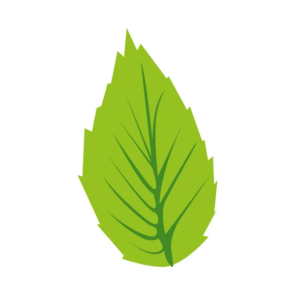 Obraz ikony proste liść — Wektor stockowy