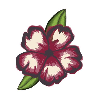 narin çiçek Çizim simge görüntüsü