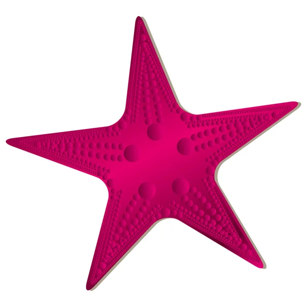 星の魚アイコン画像 — ストックベクタ