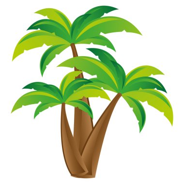 palmiye ağacı simge görüntüsü