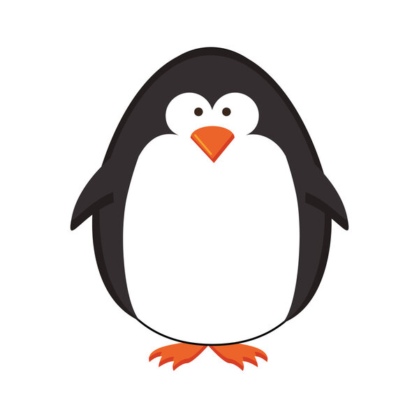 penguin cartoon icon image