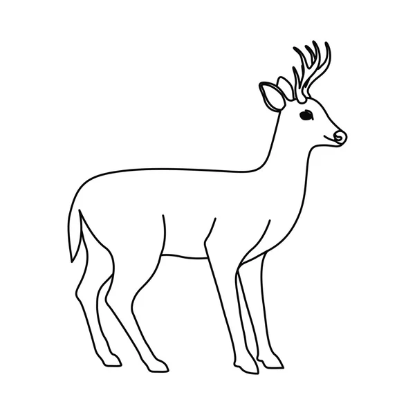 격리 된 사슴 동물 디자인 — 스톡 벡터