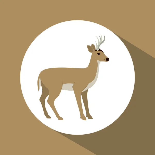 Cerf coloré animal design — Image vectorielle
