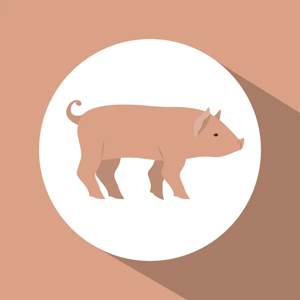 Disegno animale di maiale colorato — Vettoriale Stock