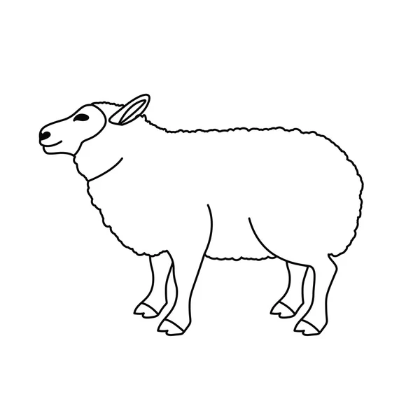 Isolated lamb animal design — Stock Vector