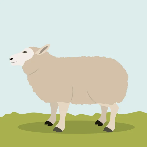 Färgglada lamm djur design — Stock vektor