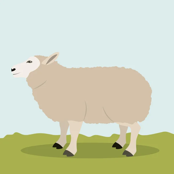 Diseño colorido de animales de cordero — Vector de stock