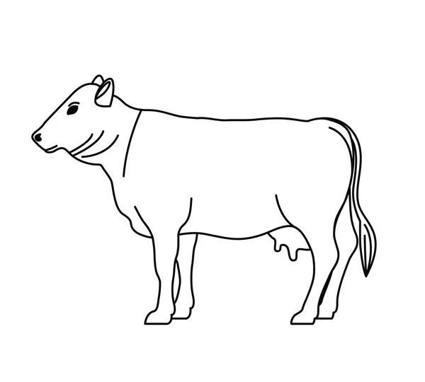 Desenho isolado de animais de beterraba — Vetor de Stock