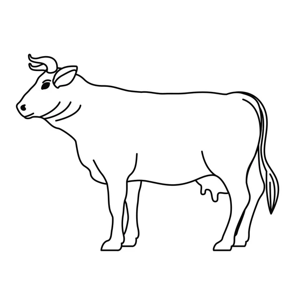 Conception isolée de vache animale — Image vectorielle