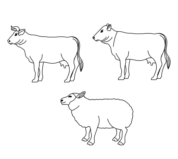 Дизайн ізольованої ягнячої корови та бурякових тварин — стоковий вектор