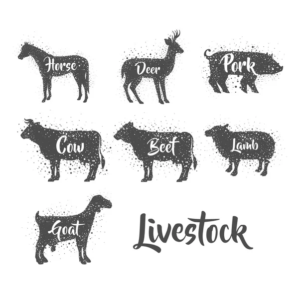 Isolated animals of livestock design — Stock Vector