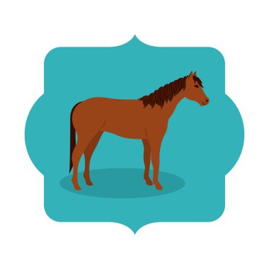 At hayvan hayvan izole