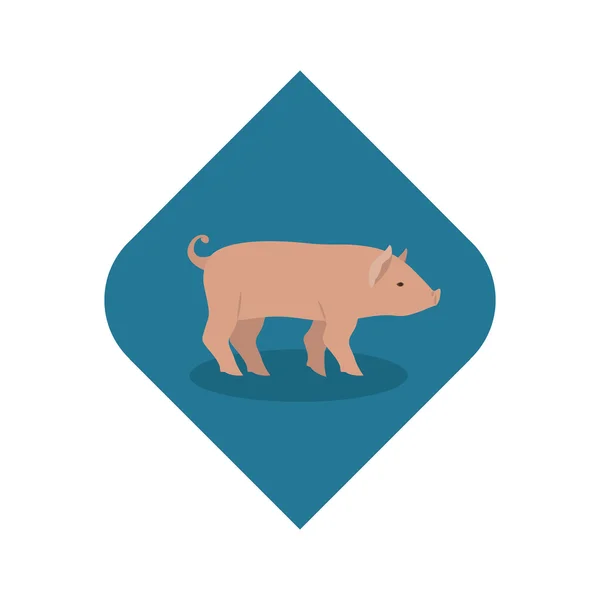 Ganado porcino aislado diseño animal — Archivo Imágenes Vectoriales