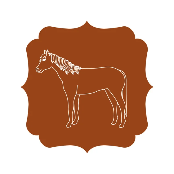 Caballo aislado ganadería diseño animal — Vector de stock