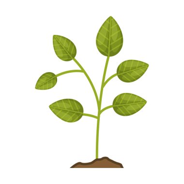 yeşil bitki simgesi