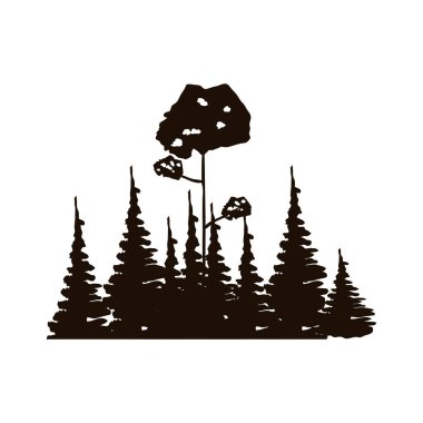 tek renkli ormanıyla çam ve yapraklı ağaç